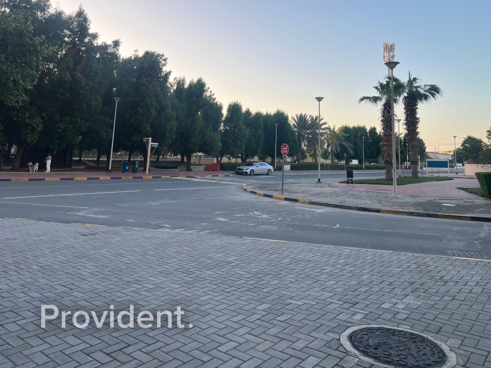 property image - Provident Estate